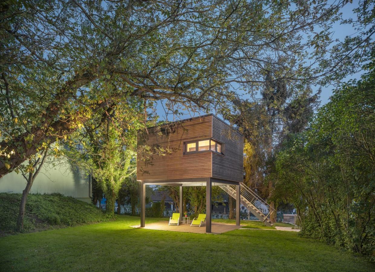 Heuchelheim-Klingen Baumhaus Im Vogelgesang 아파트 외부 사진